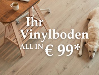 Actie dingetje pvc 1