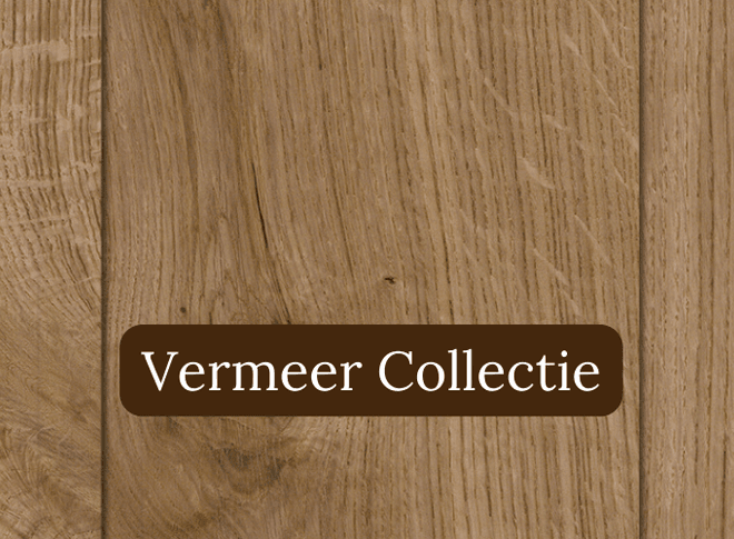 Vermeer Collectie header