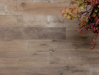 NIBO STONE VIANEN showroom 2025 Fotografie V Clarysse 69
