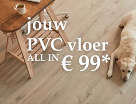 Actie dingetje pvc