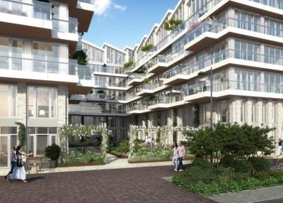 2497 cruquis d1 03 1