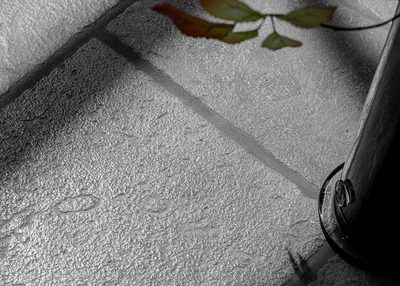 NIBO STONE Natuursteen vloer 6