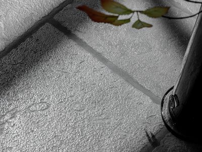 NIBO STONE VIANEN showroom 2025 Fotografie V Clarysse 45 kopie