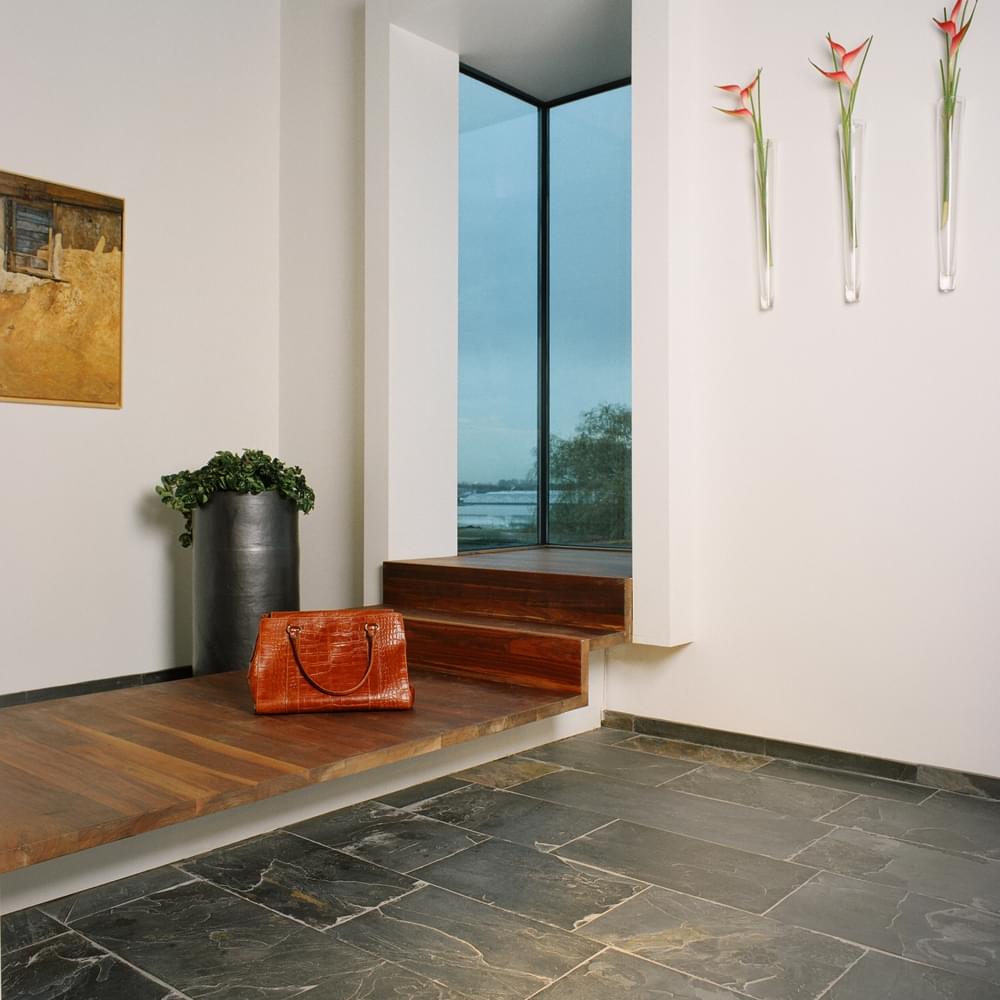 Van Rijn 0174 0176