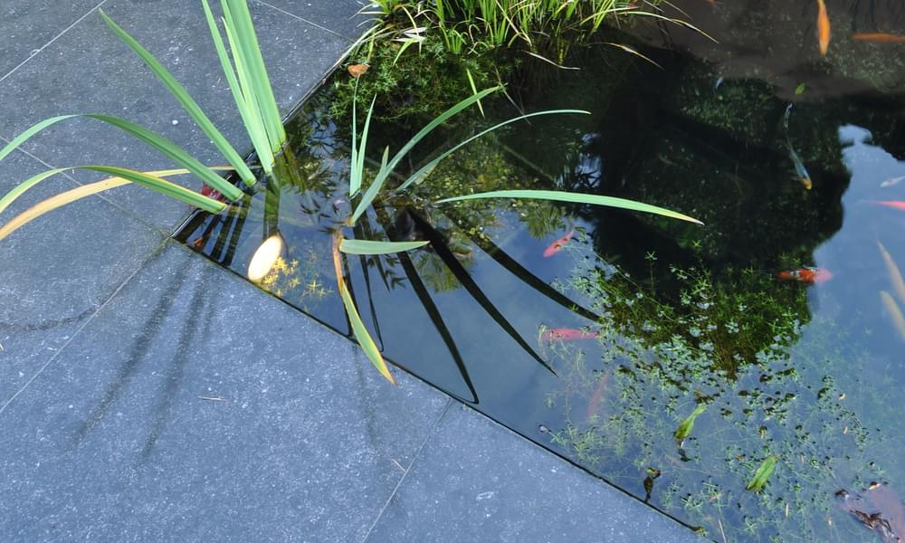 Nibo Stone Natuursteen Terrastegels 4