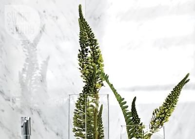 Tegeltrends 2022 Nibo Stone 1