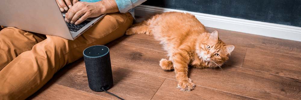 Ontwerp zonder titel 2